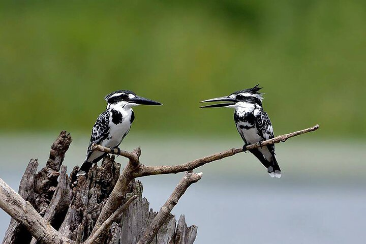 Sigiriya Rock and Countryside from Sigiriya - Photo 1 of 10